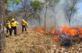 Puebla se encuentra en el tercer lugar nacional en número de incendios con 82