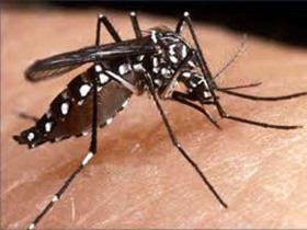 Preocupa caso de dengue en Venustiano Carranza