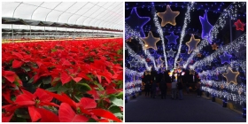 Anuncian Feria de la Nochebuena y Villa Iluminada en Atlixco Pueblo Mágico