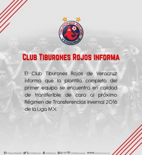 Tiburones a la venta en el Puerto